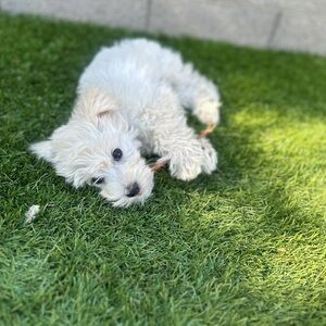 Favorite this to get notified when I go live